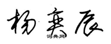 朱锡荣杨奕辰草书个性签名怎么写