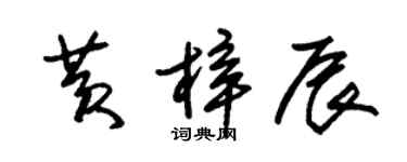 朱锡荣黄梓辰草书个性签名怎么写