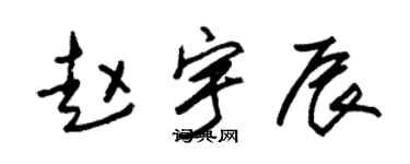 朱锡荣赵宇辰草书个性签名怎么写
