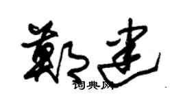 朱锡荣郑建草书个性签名怎么写