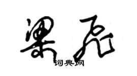 朱锡荣梁飞草书个性签名怎么写