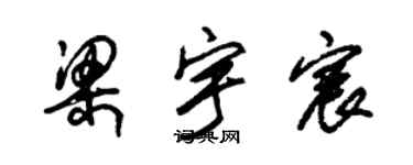 朱锡荣梁宇宸草书个性签名怎么写