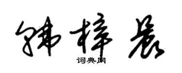朱锡荣韩梓晨草书个性签名怎么写