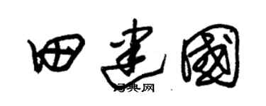 朱锡荣田建国草书个性签名怎么写
