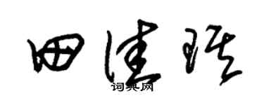 朱锡荣田佳琪草书个性签名怎么写