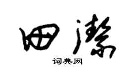 朱锡荣田洁草书个性签名怎么写