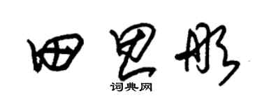 朱锡荣田思彤草书个性签名怎么写