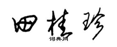 朱锡荣田桂珍草书个性签名怎么写