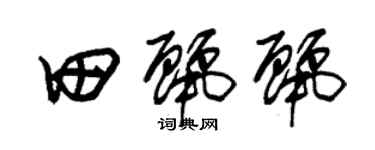 朱锡荣田丽丽草书个性签名怎么写