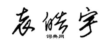 朱锡荣袁皓宇草书个性签名怎么写