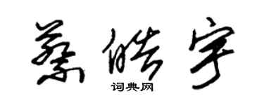 朱锡荣蔡皓宇草书个性签名怎么写