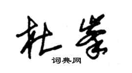 朱锡荣杜峰草书个性签名怎么写