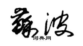 朱锡荣苏波草书个性签名怎么写