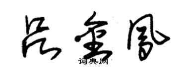 朱锡荣吕金凤草书个性签名怎么写