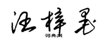 朱锡荣汪梓墨草书个性签名怎么写