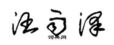 朱锡荣汪雨泽草书个性签名怎么写