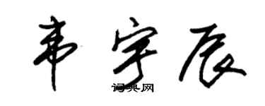 朱锡荣韦宇辰草书个性签名怎么写