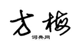 朱锡荣方梅草书个性签名怎么写