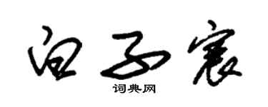朱锡荣白子宸草书个性签名怎么写