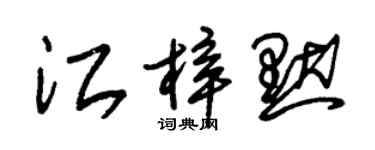 朱锡荣江梓默草书个性签名怎么写
