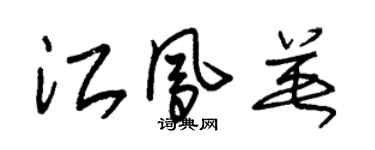 朱锡荣江凤英草书个性签名怎么写