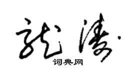 朱锡荣龙涛草书个性签名怎么写