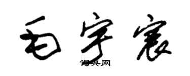 朱锡荣毛宇宸草书个性签名怎么写