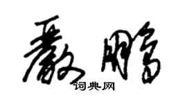 朱锡荣严鹏草书个性签名怎么写
