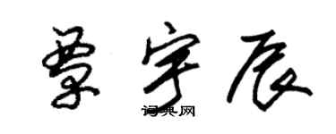 朱锡荣覃宇辰草书个性签名怎么写