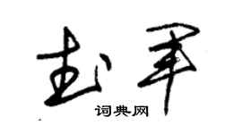 朱锡荣武军草书个性签名怎么写