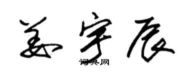 朱锡荣姜宇辰草书个性签名怎么写