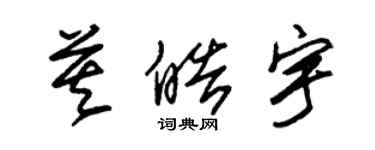 朱锡荣莫皓宇草书个性签名怎么写