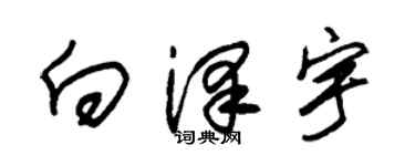 朱锡荣向泽宇草书个性签名怎么写
