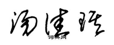 朱锡荣汤佳琪草书个性签名怎么写