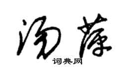 朱锡荣汤萍草书个性签名怎么写