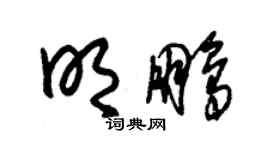 朱锡荣明鹏草书个性签名怎么写