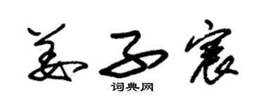 朱锡荣姜子宸草书个性签名怎么写