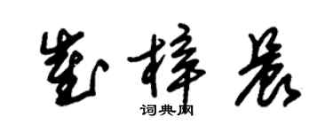 朱锡荣崔梓晨草书个性签名怎么写