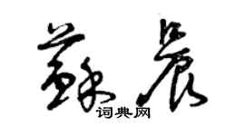 曾庆福苏晨草书个性签名怎么写