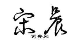 曾庆福宋晨草书个性签名怎么写