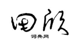 曾庆福田欣草书个性签名怎么写