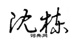 曾庆福沈栋草书个性签名怎么写
