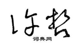 曾庆福许哲草书个性签名怎么写