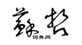 曾庆福苏哲草书个性签名怎么写