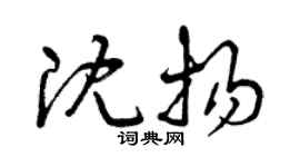 曾庆福沈扬草书个性签名怎么写
