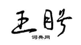 曾庆福王盼草书个性签名怎么写