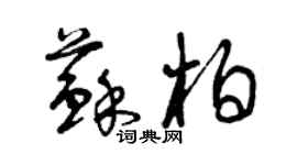 曾庆福苏柏草书个性签名怎么写