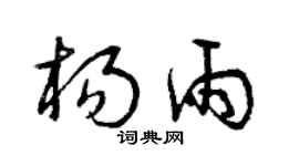 曾庆福杨雨草书个性签名怎么写