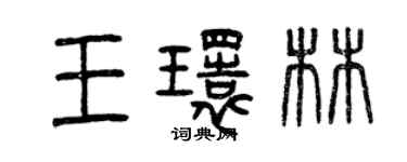 曾庆福王环林篆书个性签名怎么写