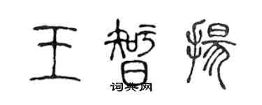 陈声远王智扬篆书个性签名怎么写